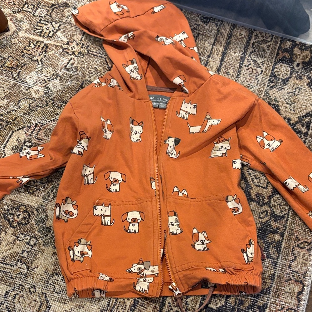 Toddler Orange Hooded Zip-Up Hoodie with Puppy Print